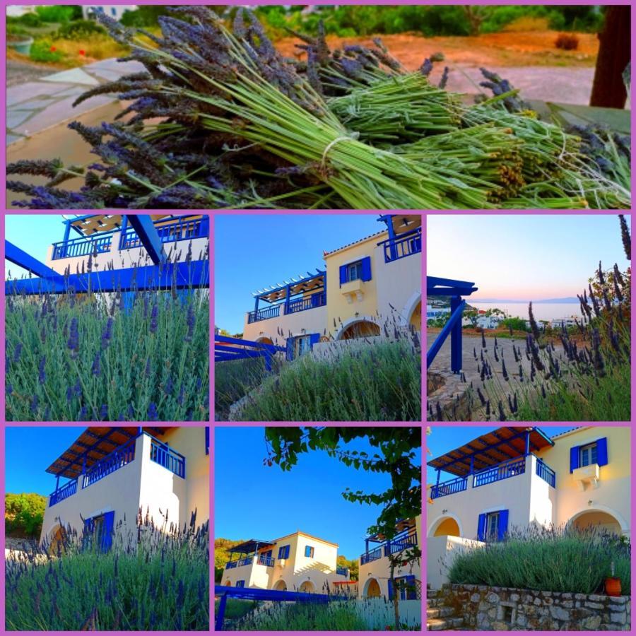 Evangelia House Sea View Apartments Agia Pelagia  Exterior photo