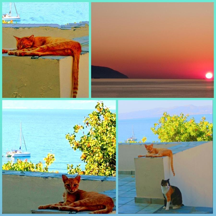 Evangelia House Sea View Apartments Agia Pelagia  Exterior photo